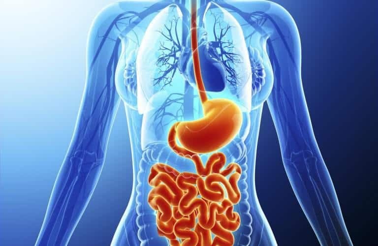 gastroenterology