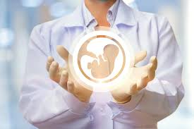 Egg donation IVF treatment in Turkey guide