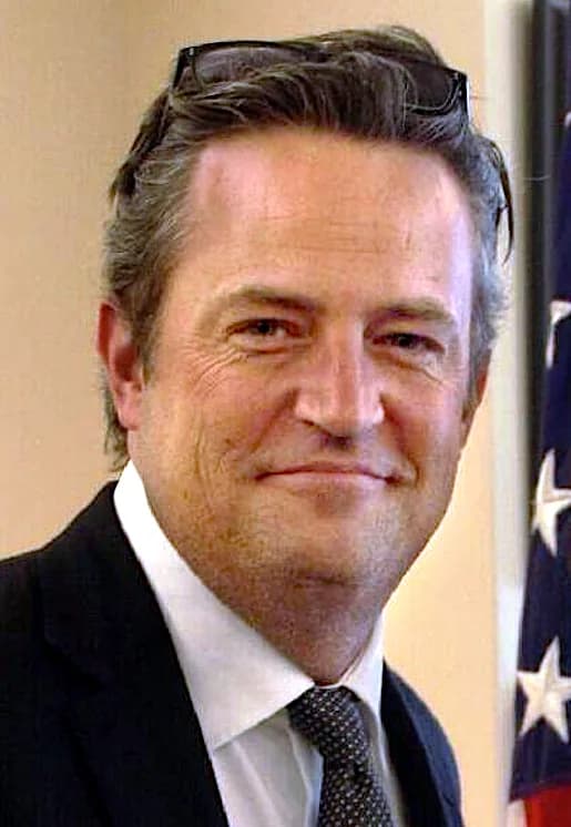 Matthew Perry's Teeth: A Smile Transformation Timeline Through the Friends Years