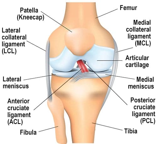 ACL Repair Surgery in Turkey