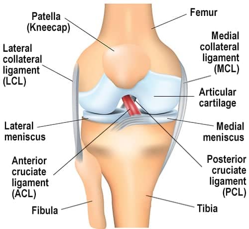ACL Repair Surgery in Turkey
