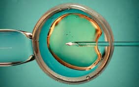 CKD Management in Turkey | Advanced Nephrology Care