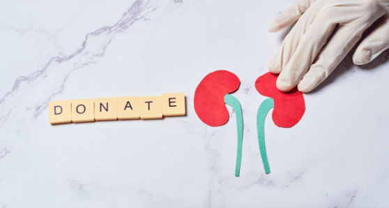 Organ Transplants in Turkey: