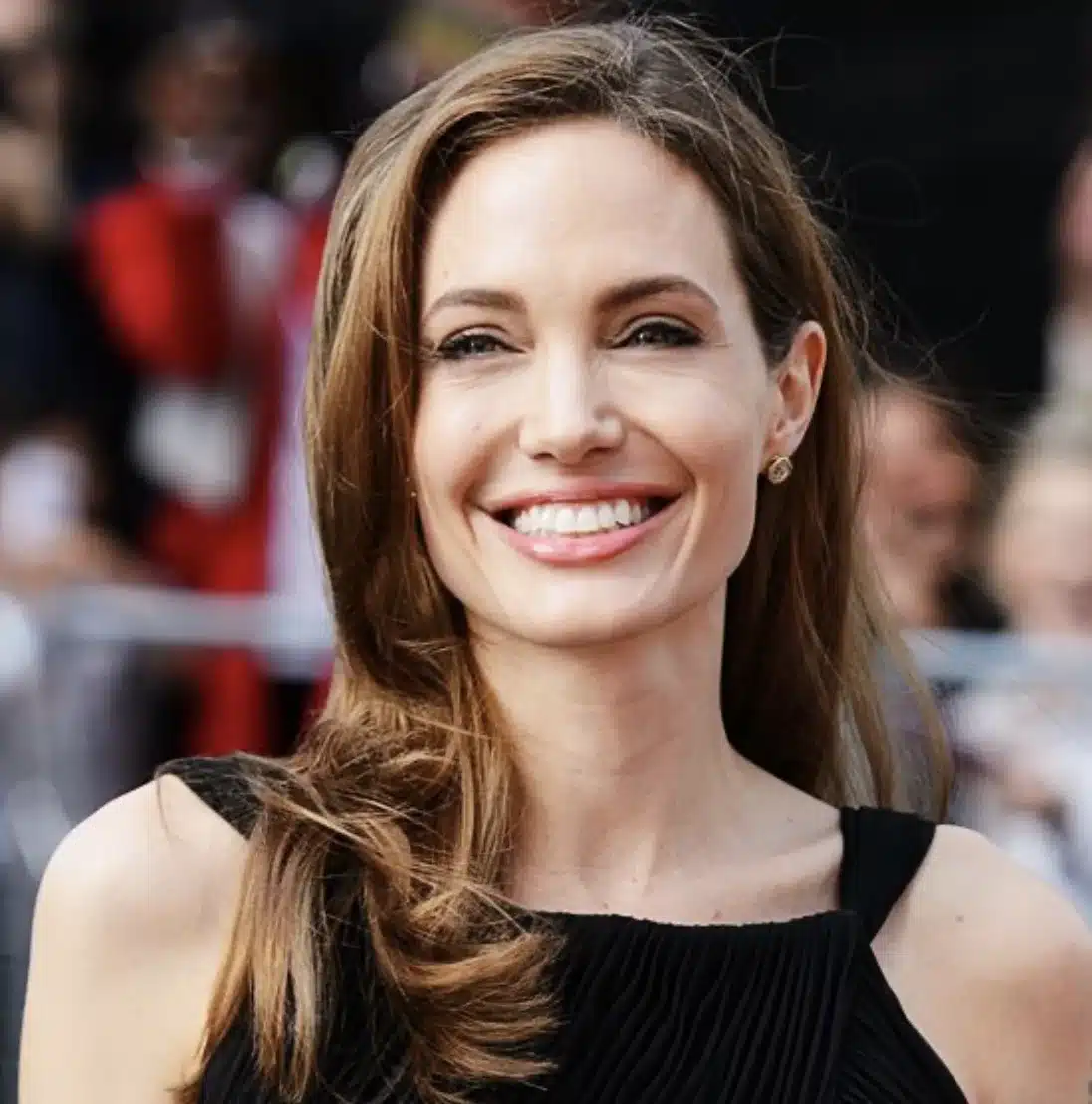 “Close-up of Angelina Jolie’s lower lip curvature aligning with smile arc.”